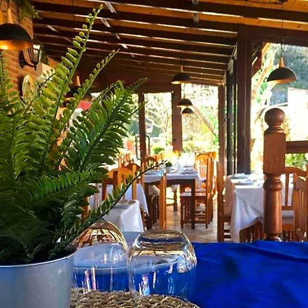 Inn Posada Soano 3*